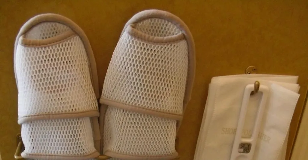 Toyoko Inn Tokyo Tozai-Sen Nishi-Kasai Japon